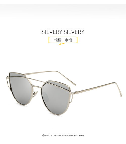 潮流时尚之选——新款金属太阳眼镜完美演绎韩版欧美风格